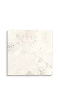 vloertegel Wit 60 x 60 | 199-778 | Jan Groen Tegels