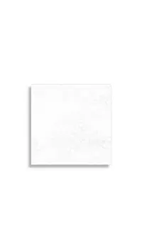 vloertegel Wit 20 x 20 | 592-925 | Jan Groen Tegels