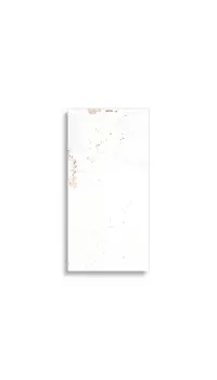 vloertegel Wit 20 x 40 | 494-044 | Jan Groen Tegels