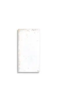 vloertegel Wit 20 x 40 | 494-044 | Jan Groen Tegels