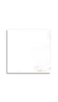 vloertegel Wit 40 x 40 | 695-317 | Jan Groen Tegels