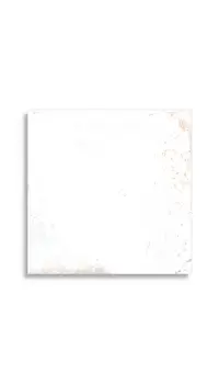 vloertegel Wit 40 x 40 | 695-317 | Jan Groen Tegels