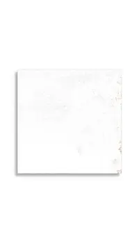 vloertegel Wit 40 x 40 | 695-317 | Jan Groen Tegels