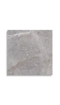 vloertegel Grijs 60 x 60 | 245-793 | Jan Groen Tegels