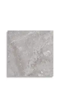 vloertegel Grijs 60 x 60 | 245-793 | Jan Groen Tegels