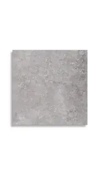 vloertegel Grijs 60 x 60 | 245-793 | Jan Groen Tegels