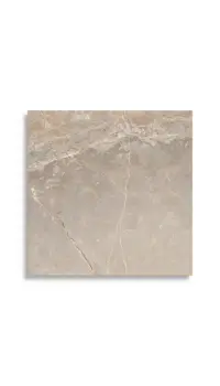 vloertegel Beige 80 x 80 | 670-936 | Jan Groen Tegels