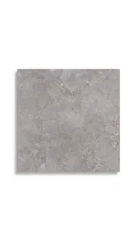 vloertegel Grijs 80 x 80 | 874-998 | Jan Groen Tegels