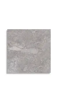 vloertegel Grijs 80 x 80 | 874-998 | Jan Groen Tegels