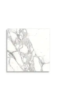 vloertegel Wit 60 x 60 | 240-726 | Jan Groen Tegels