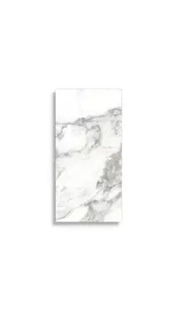 vloertegel Wit 30 x 60 | 798-867 | Jan Groen Tegels