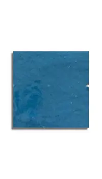 Wandtegels Blauw 10 x 10 | 482-543 | Jan Groen Tegels