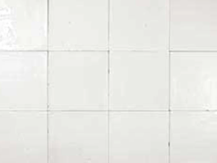 Wandtegel Wit  12,5x12,5x0,9 | 937-746 | Jan Groen Tegels