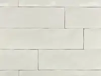 wandtegel Wit 6.2 x 25 | 645-317 | Jan Groen Tegels