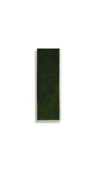 wandtegel Groen 6.5 x 20 | 462-704 | Jan Groen Tegels