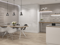 wandtegel Wit 31.5 x 100 | 487-513 | Jan Groen Tegels