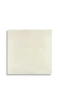 vloertegel Beige 60 x 60 | 459-558 | Jan Groen Tegels