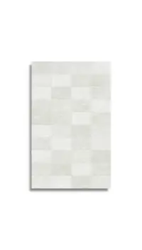 mozaiek Wit 25 x 40 | 134-374 | Jan Groen Tegels