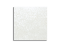 vloertegel Wit 45 x 45 | 654-526 | Jan Groen Tegels