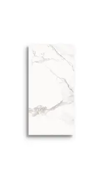 vloertegel Wit 59 x 119 | 446-279 | Jan Groen Tegels
