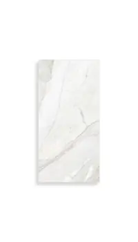 xxl tegel Wit 50 x 100 | 955-729 | Jan Groen Tegels