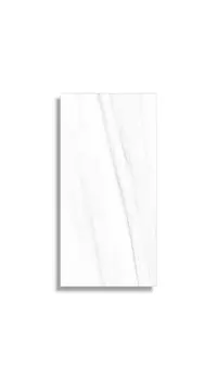 xxl tegel Wit 60 x 120 | 317-953 | Jan Groen Tegels