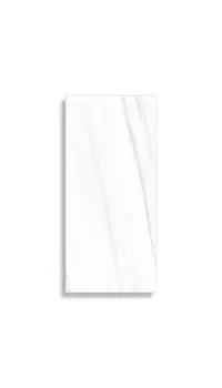 xxl tegel Wit 120 x 260 | 309-484 | Jan Groen Tegels