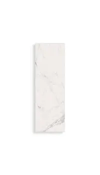 xxl tegel Wit 100 x 300 | 476-841 | Jan Groen Tegels