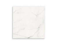 xxl tegel Wit 120 x 120 | 567-477 | Jan Groen Tegels