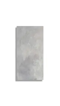 xxl tegel Grijs 50 x 100 | 152-003 | Jan Groen Tegels