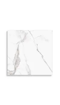 vloertegel Wit 60.5 x 60.5 | 549-483 | Jan Groen Tegels