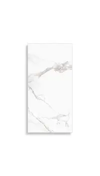 vloertegel Wit 60 x 120 | 432-749 | Jan Groen Tegels