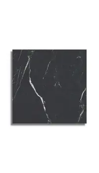 vloertegel Zwart 59 x 59 | 778-825 | Jan Groen Tegels