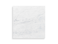 xxl tegel Wit 120 x 120 | 266-188 | Jan Groen Tegels