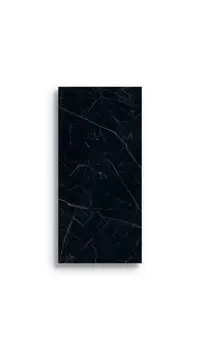 xxl tegel Zwart 120 x 260 | 832-451 | Jan Groen Tegels