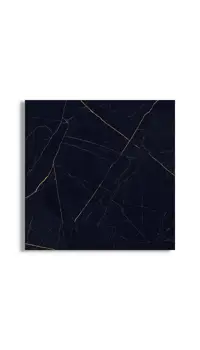 xxl tegel Zwart 120 x 120 | 946-966 | Jan Groen Tegels