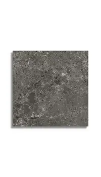 xxl tegel Antraciet 120 x 120 | 662-883 | Jan Groen Tegels