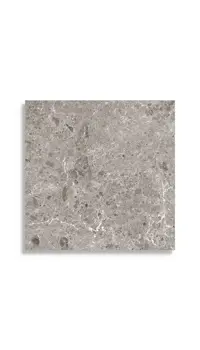 xxl tegel Grijs 120 x 120 | 786-921 | Jan Groen Tegels