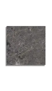 vloertegel Antraciet 60 x 60 | 230-894 | Jan Groen Tegels