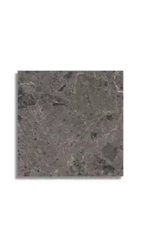 vloertegel Antraciet 80 x 80 | 386-276 | Jan Groen Tegels