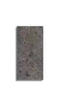 vloertegel Antraciet 78 x 158 | 208-223 | Jan Groen Tegels