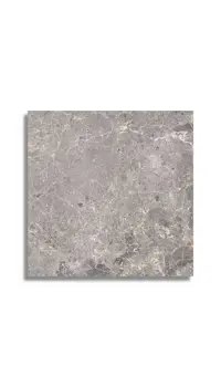 vloertegel Grijs 60 x 60 | 166-754 | Jan Groen Tegels