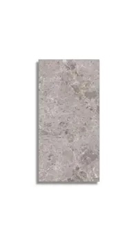 vloertegel Grijs 80 x 160 | 602-085 | Jan Groen Tegels