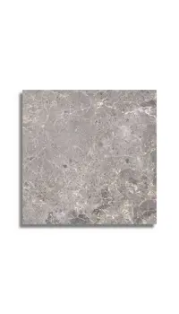 vloertegel Grijs 59 x 59 | 626-338 | Jan Groen Tegels