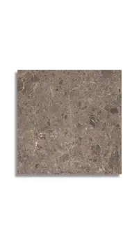 vloertegel Bruin 59 x 59 | 977-230 | Jan Groen Tegels
