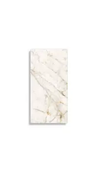 vloertegel Wit 30 x 60 | 612-703 | Jan Groen Tegels