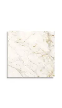 vloertegel Wit 120 x 120 | 769-394 | Jan Groen Tegels