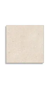 vloertegel Beige 60 x 60 | 269-940 | Jan Groen Tegels