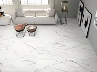 vloertegel Wit 60 x 120 | 361-760 | Jan Groen Tegels