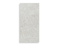 wandtegel Grijs 30 x 60 | 855-450 | Jan Groen Tegels